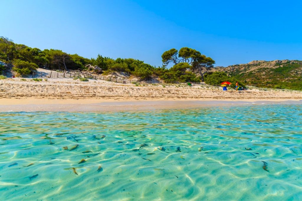 Les 5 plus belles plages secrètes de la Corse hors des sentiers battus