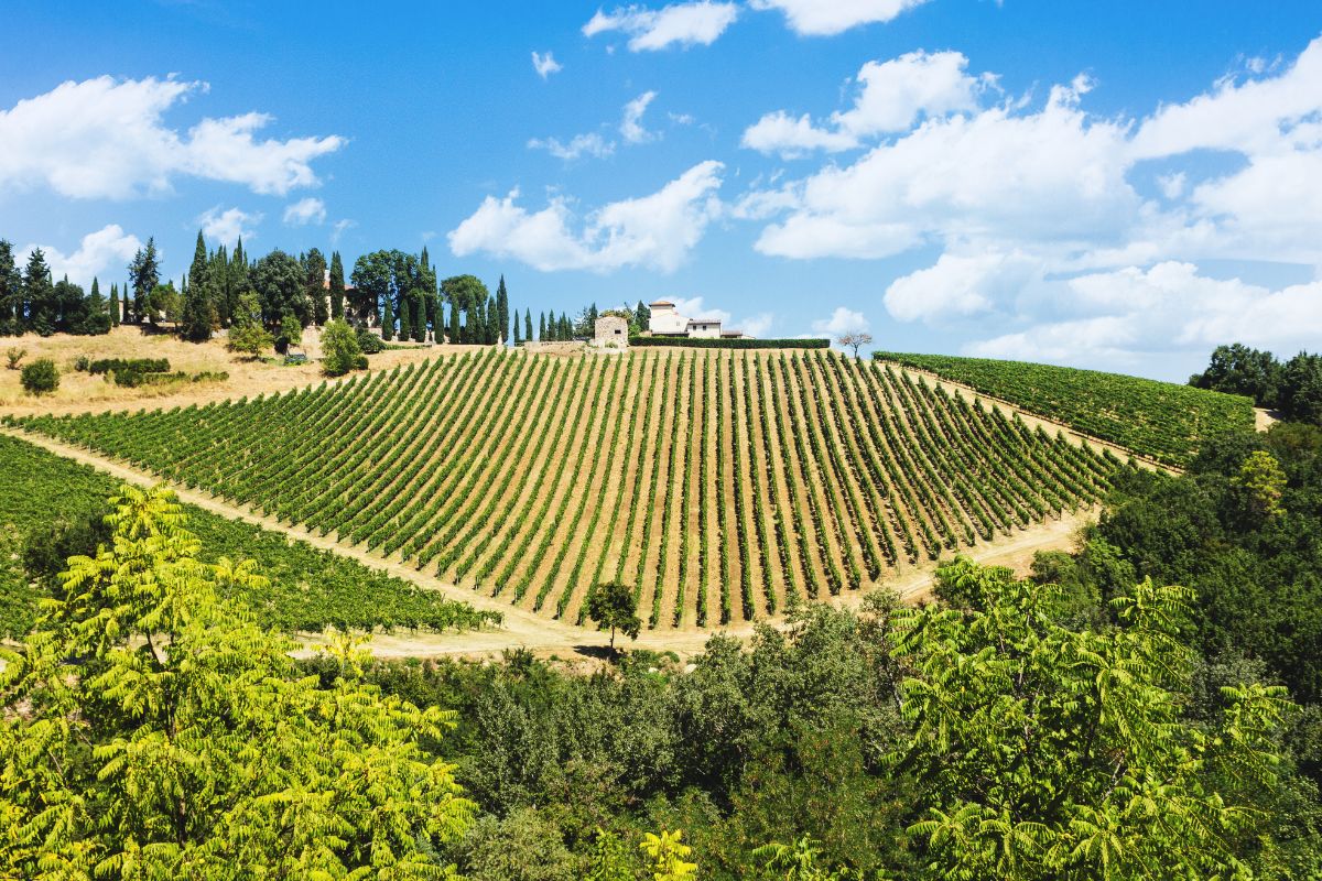 7 jours en Toscane : Que voir et ou dormir ?