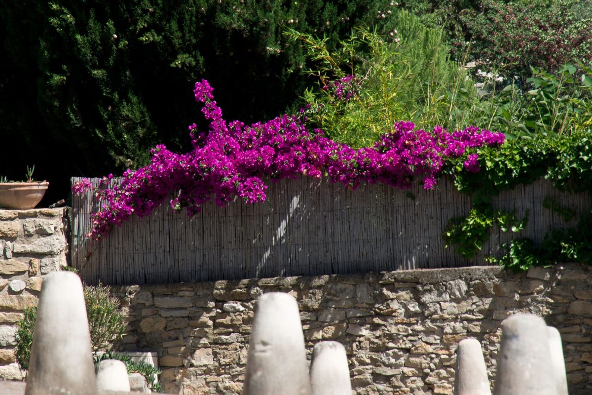 Les 10 plus beaux villages autour de Bandol à découvrir en 2024