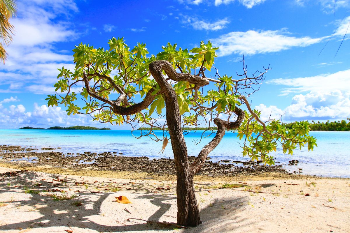 Les 10 plus belles îles de Polynésie Française à découvrir en 2024