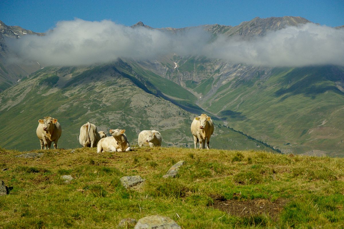 Les 9 meilleures stations à la montagne pour cet été en famille !