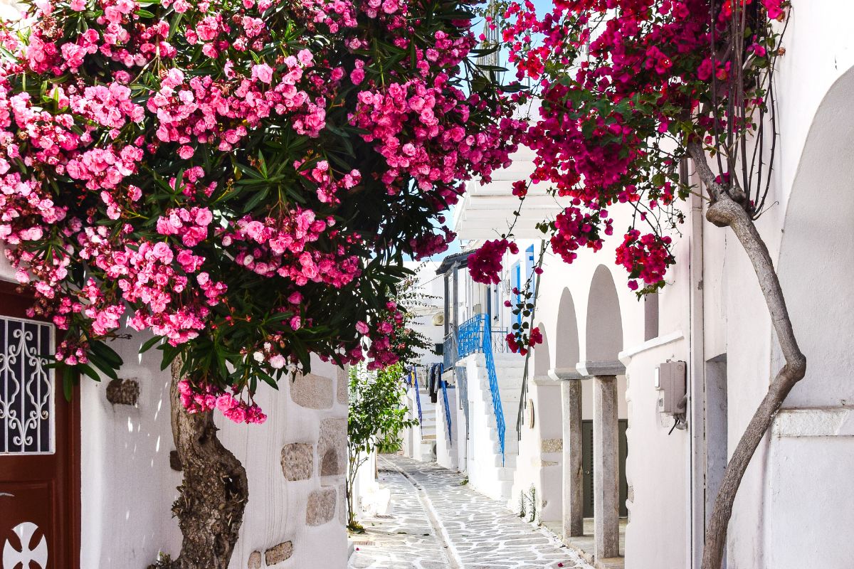 Combien de temps faut-il rester à Santorin pour visiter cette île ?