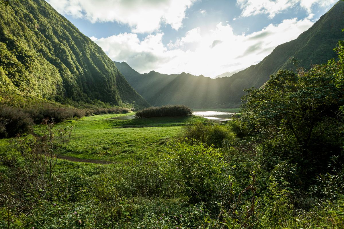 Saison à La Réunion : Laquelle est la meilleure pour partir ?