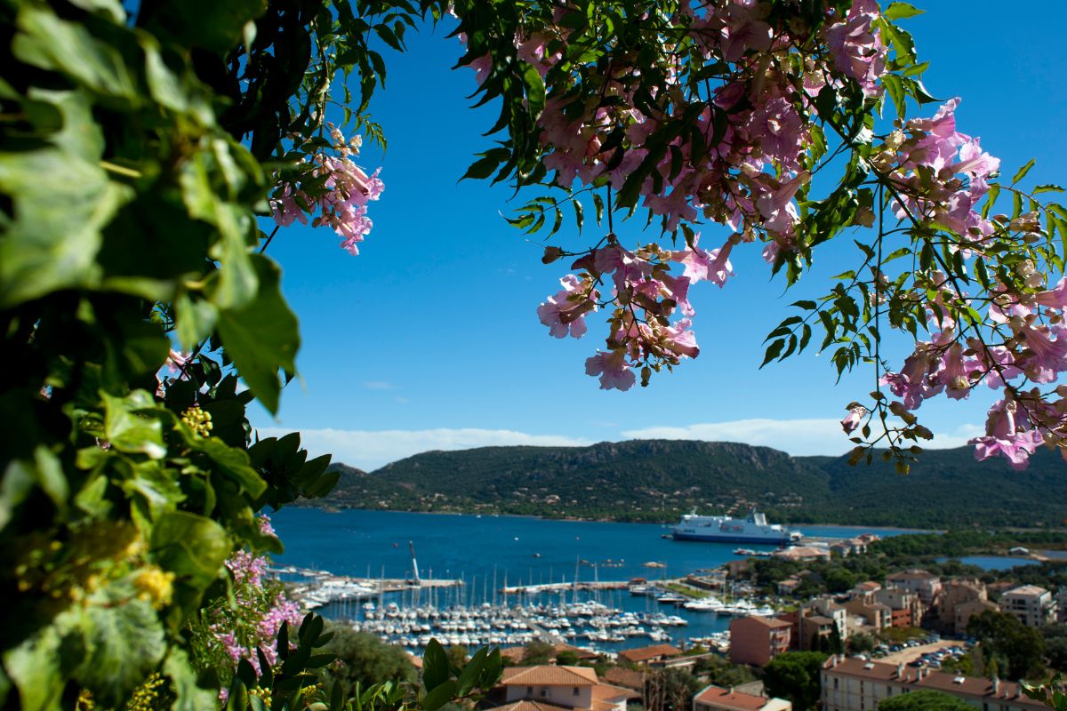 Corse en Août : Que voir & Où loger sur cette île paradisiaque ?