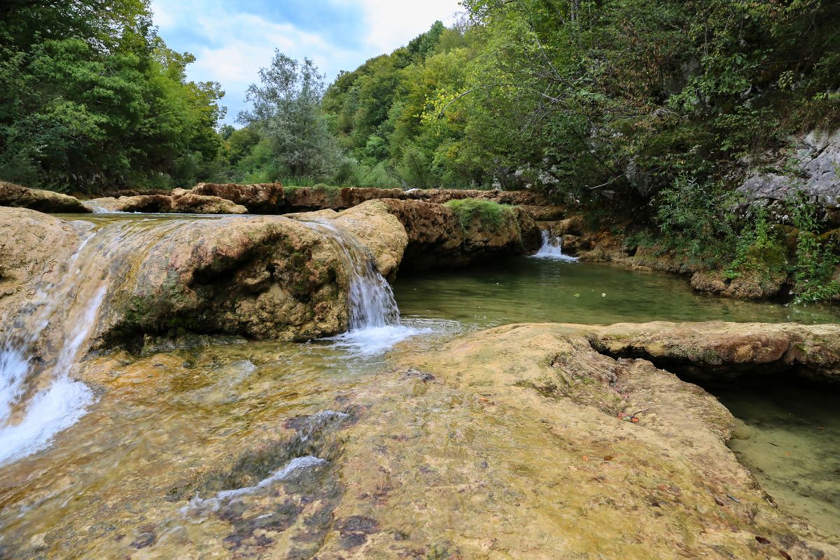 Mrežnica