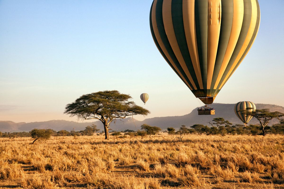 Tanzanie ou Namibie : Quel choix pour des vacances de luxe ?