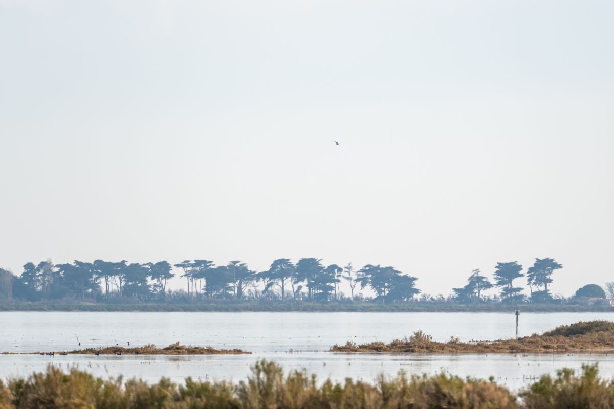 Les 12 plus beaux coins du Golfe du Morbihan en 2024