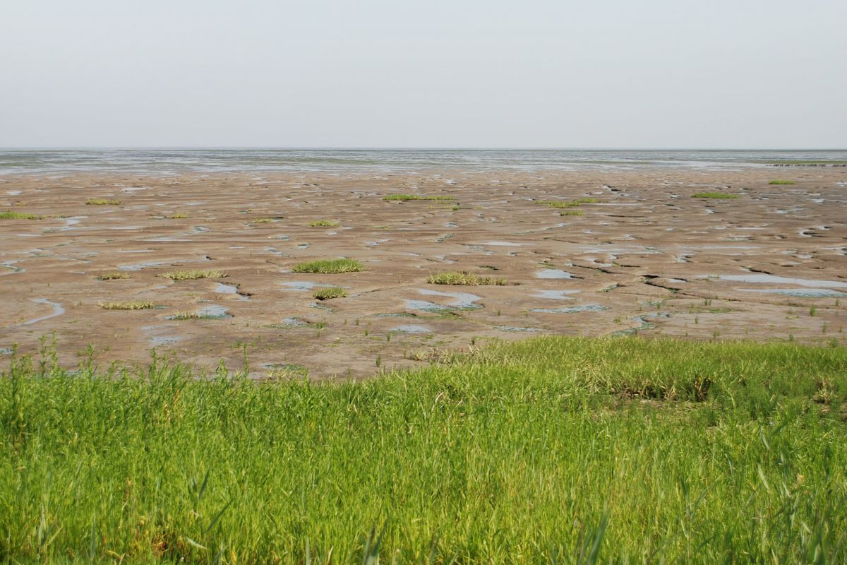 Les 11 plus beaux endroits paradisiaques de la Gironde en 2024