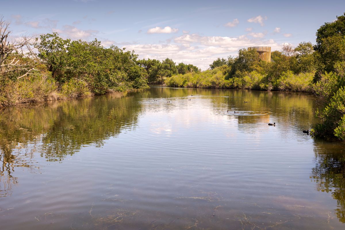 Les 11 plus beaux endroits paradisiaques de la Gironde en 2024