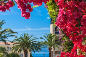 10 jours en Corse : Le meilleur Road Trip possible !