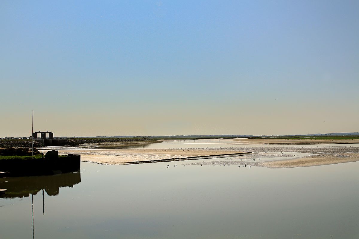 Les lieux les plus insolites de la Baie de Somme en 2024