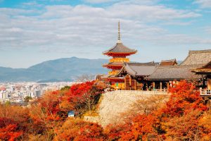 Les meilleurs endroits où loger à Kyoto en 2024