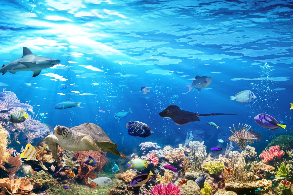 Les 10 meilleurs aquariums à absolument visiter en 2024