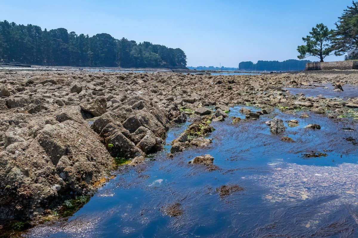 Les 12 plus beaux coins du Golfe du Morbihan en 2024