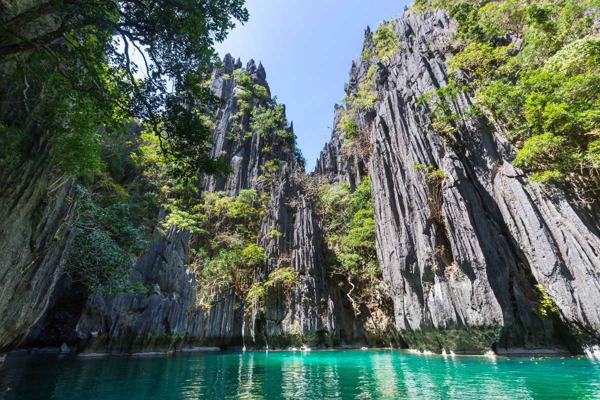 Top 5 des plus belles îles aux Philippines en 2024