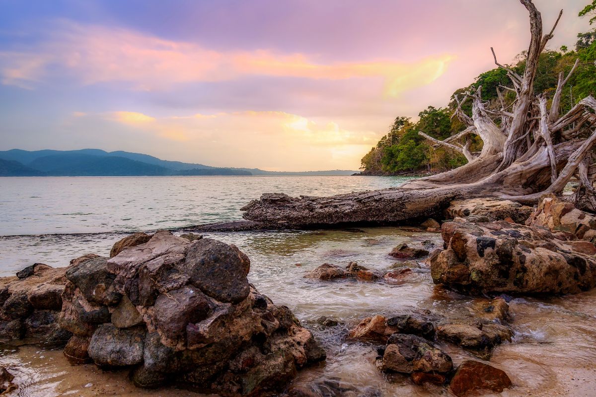 Les îles Andaman : Le guide pour découvrir cet archipel