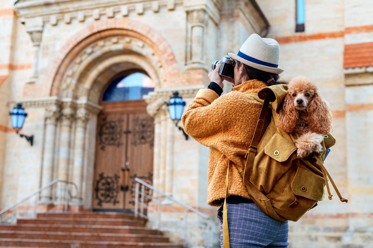 Partir avec son chien en France : Les 9 meilleures destinations