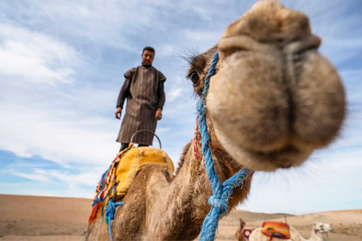 7 jours au Maroc : Quel itinéraire pour son road trip ?