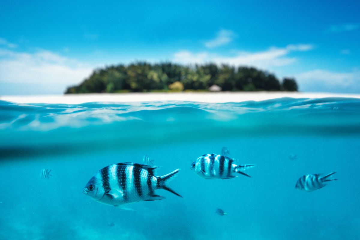 10 jours à Zanzibar : Quel budget prévoir ?