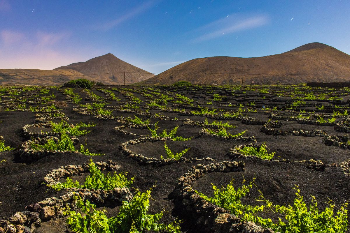 Tenerife ou Lanzarote : Quel choix idéal pour ses vacances ?