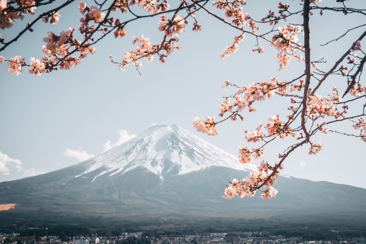 Pourquoi les Français aiment tant le Japon ?