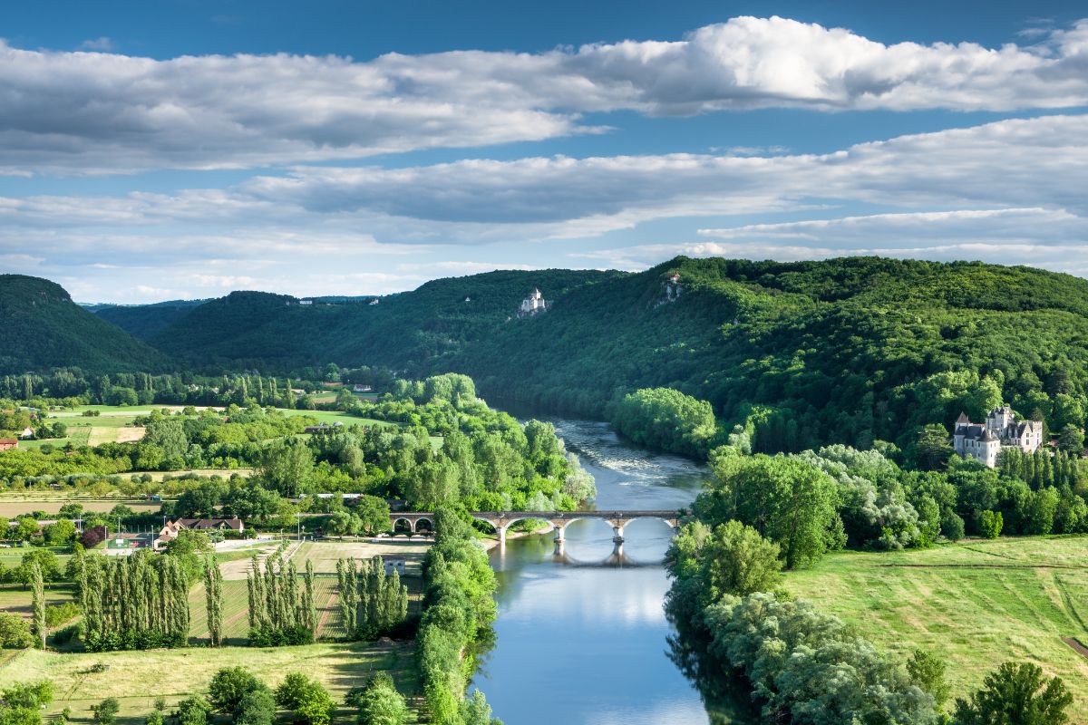 Partir avec son chien en France : Les 9 meilleures destinations