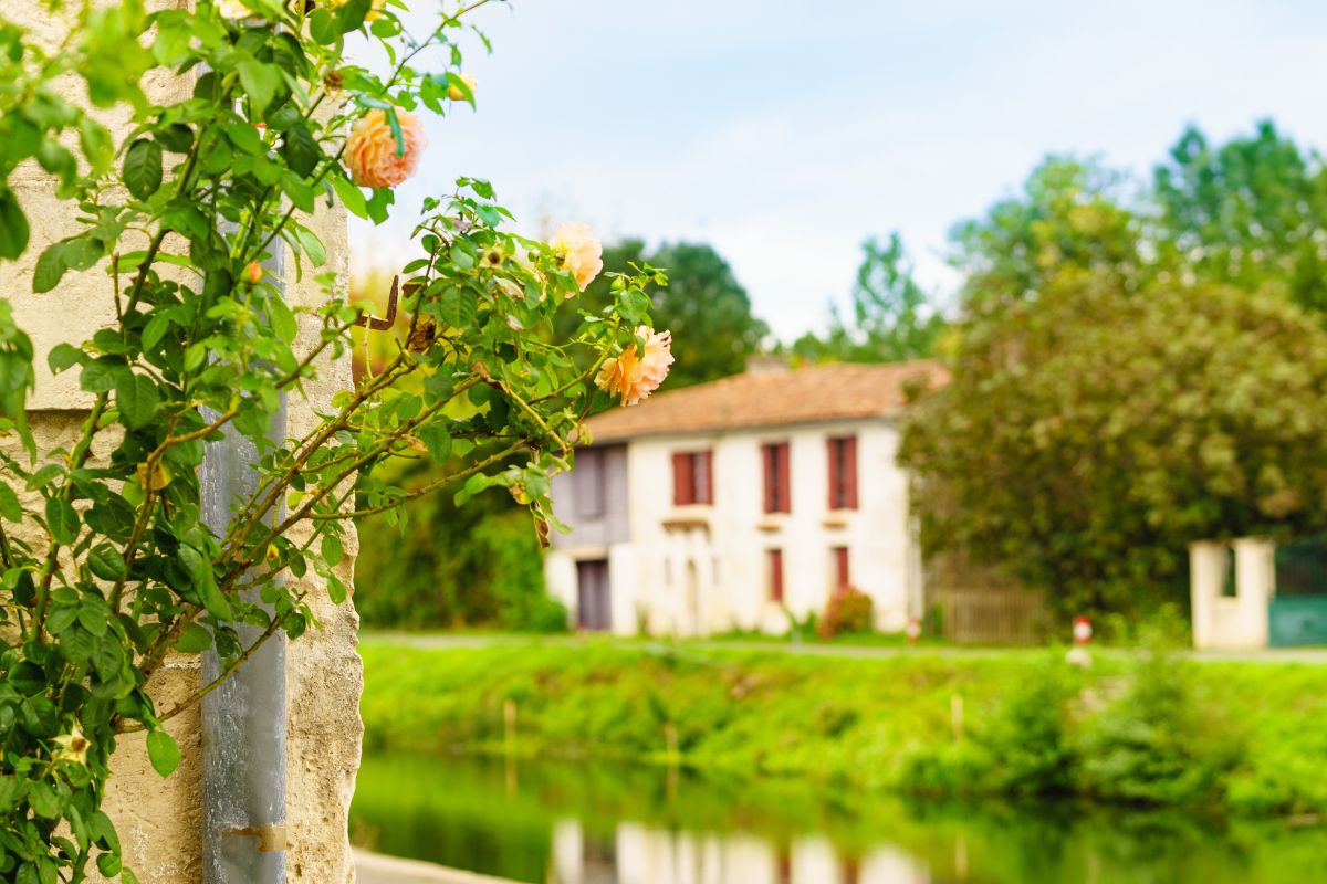 Coulon village historique