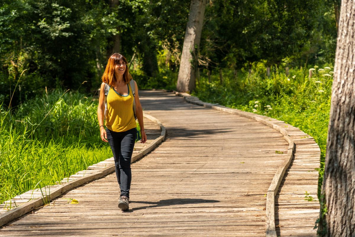 Marais poitevin ballade