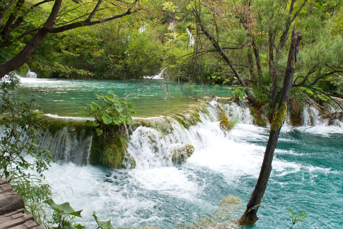 Cascades de Milka Trnina