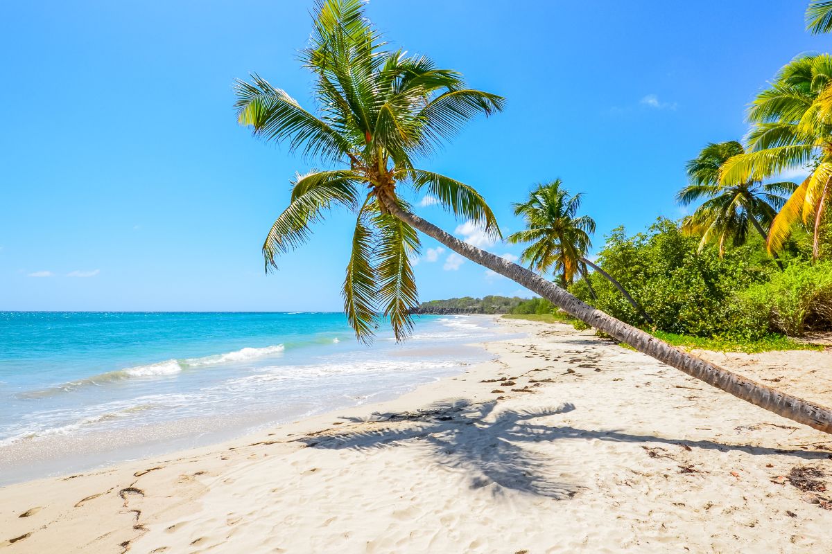 Guadeloupe ou Martinique pour un séjour en famille : Que choisir ?