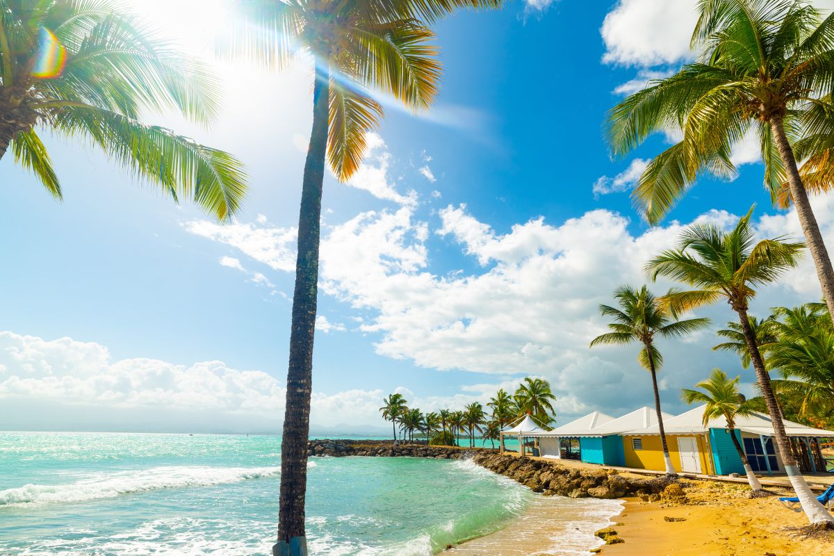 Voyage tout inclus en Guadeloupe : Quel est le meilleur prix ?