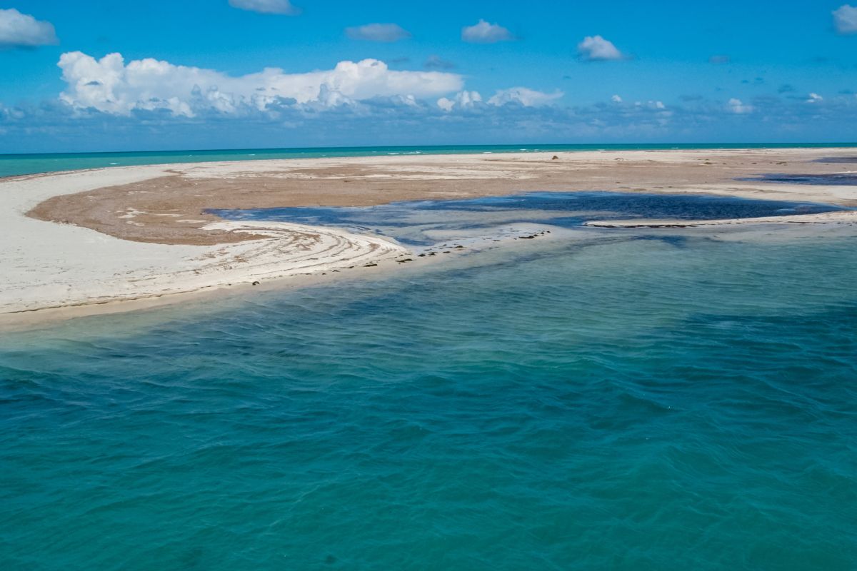 Quand partir à Djerba : Le moment idéal ?