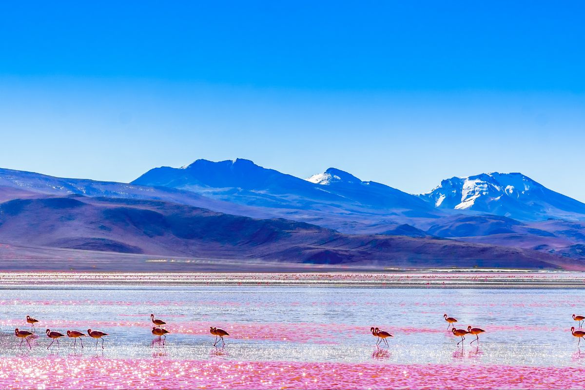 Bolivie : Quand partir dans ce petit coin de paradis ?