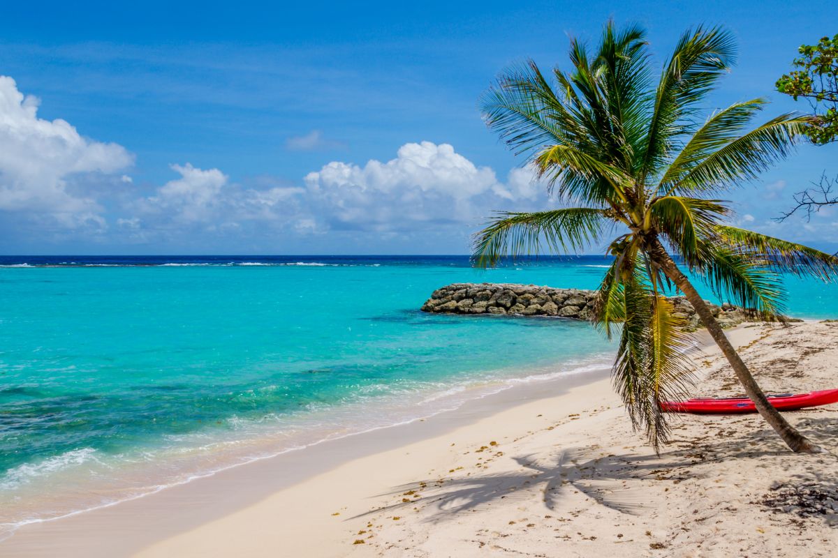 Guadeloupe ou Martinique pour un séjour en famille : Que choisir ?