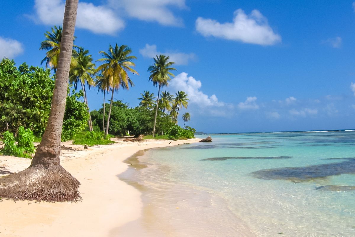 Voyage tout inclus en Guadeloupe : Quel est le meilleur prix ?