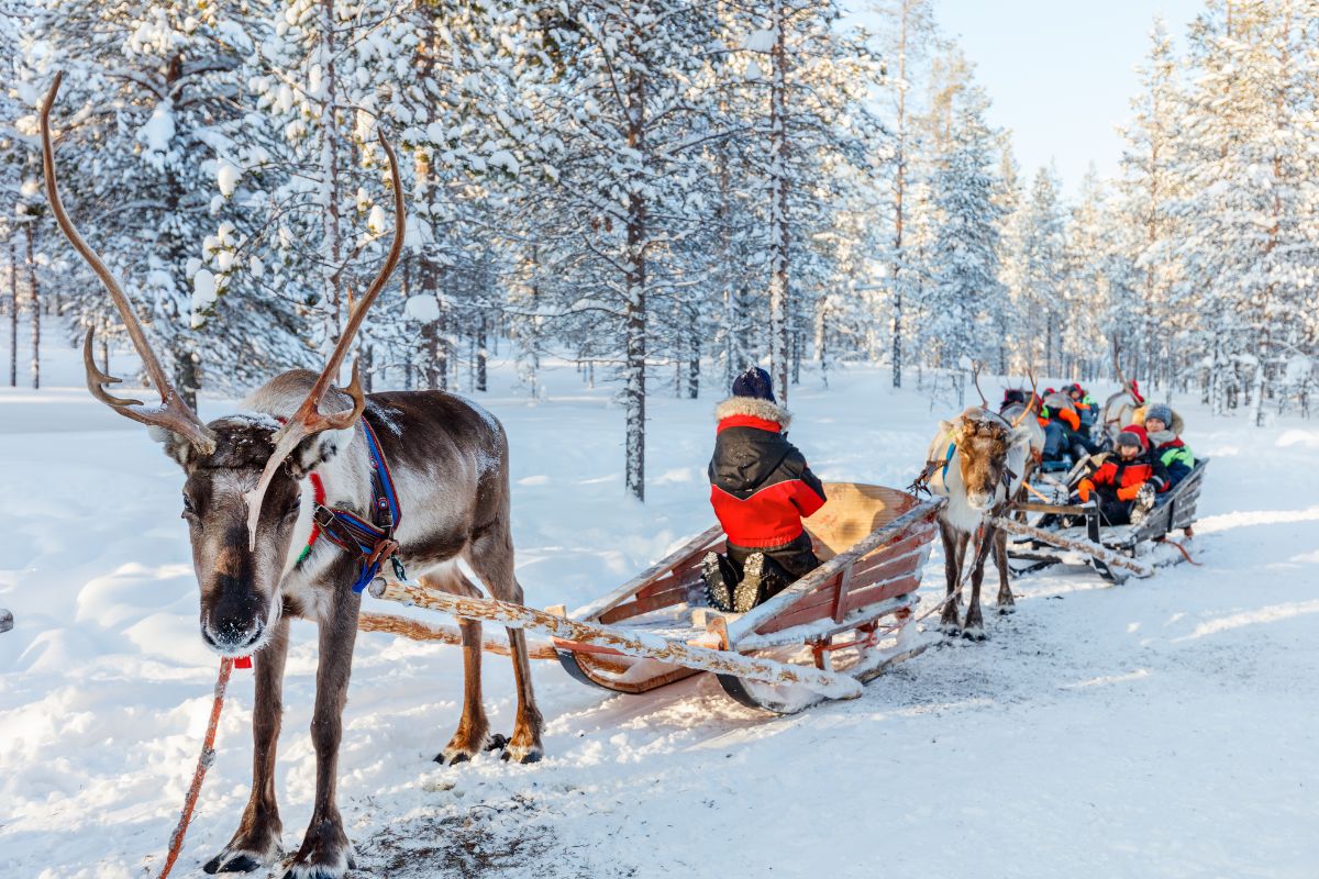 Quel budget prévoir pour son voyage de Noel en Laponie ?