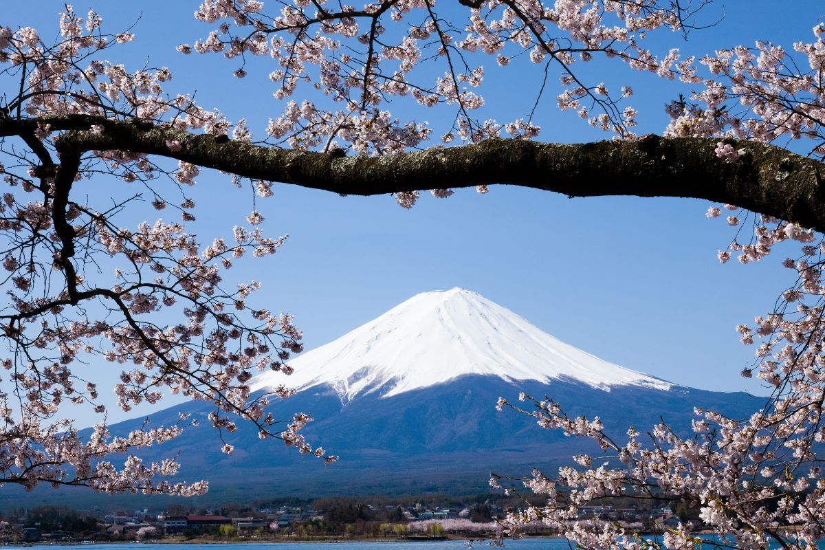 Voyager seule au Japon : Nos conseils et où loger ?