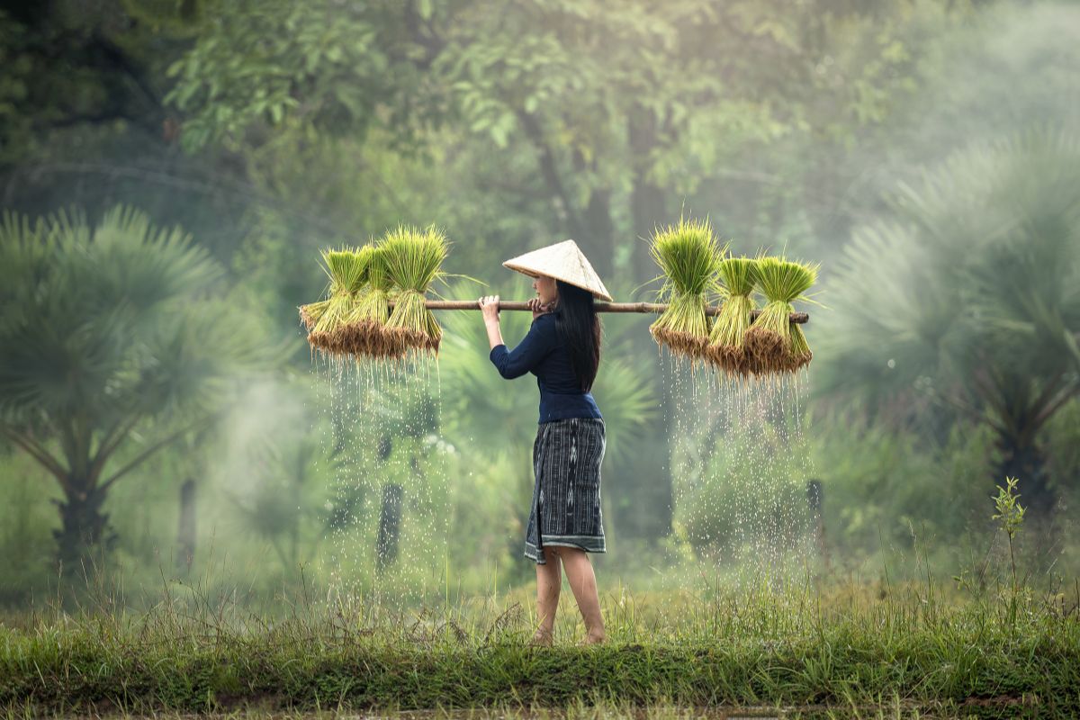 Quel prix pour un voyage au Vietnam de 15 jours ?