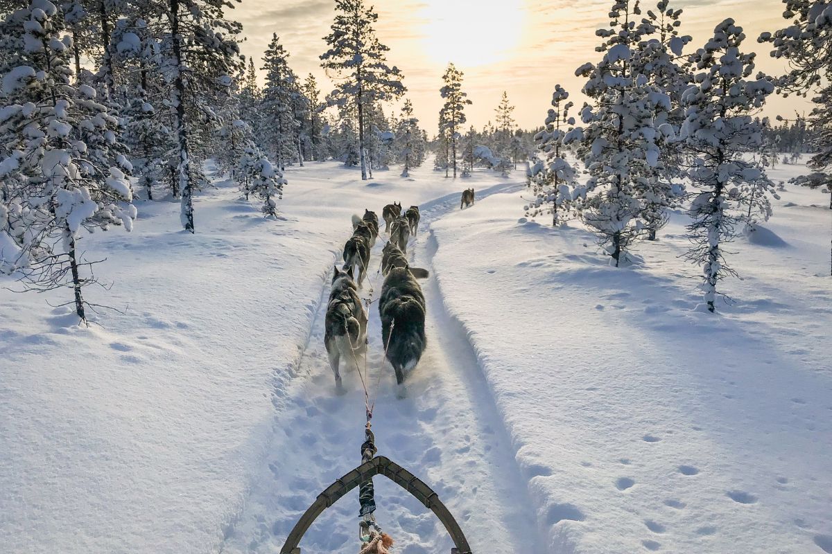 Quel budget prévoir pour son voyage de Noel en Laponie ?