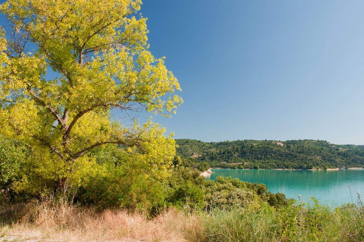 Les 8 plus beaux endroits dans les Gorges du Verdon en 2024