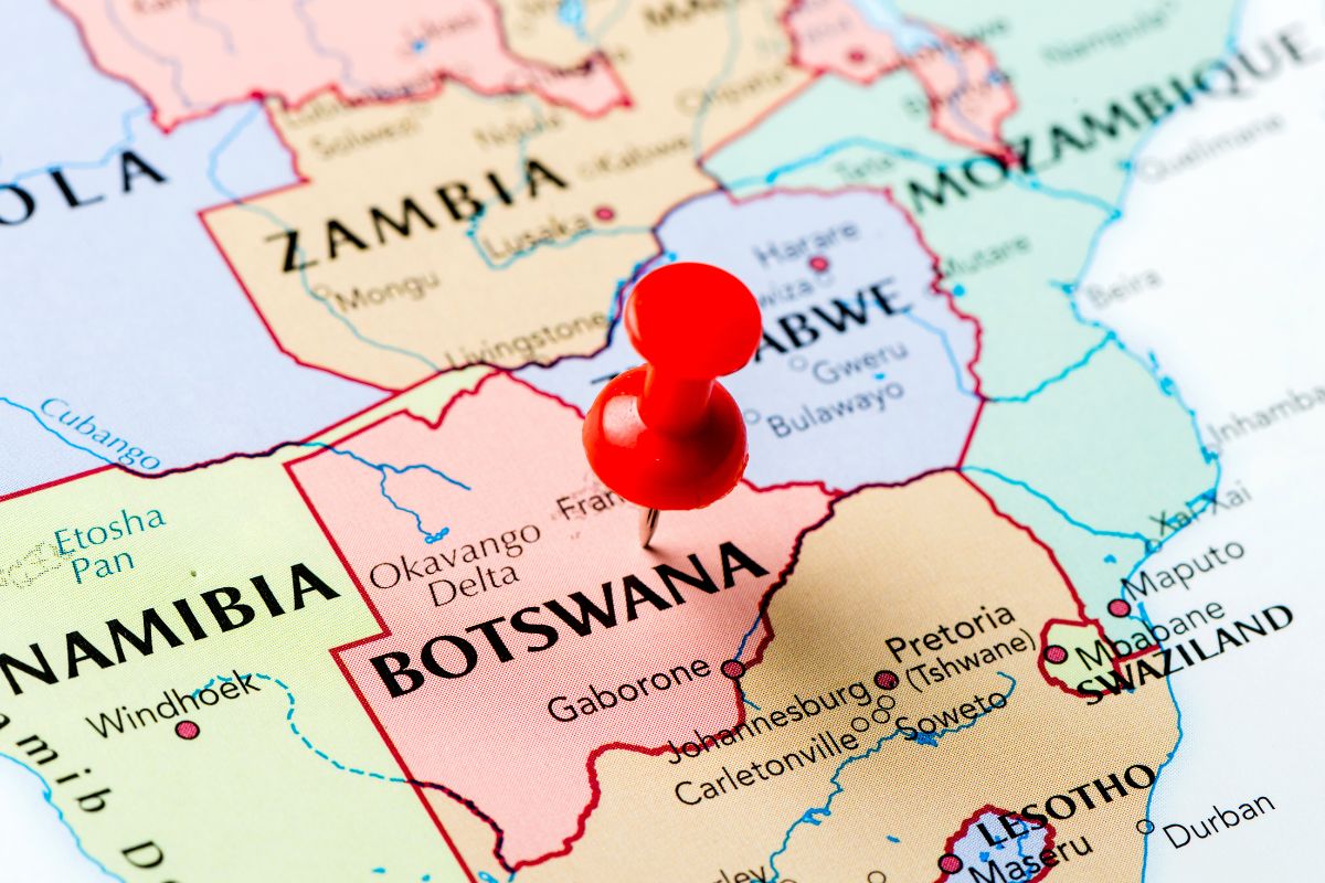 Partir au Botswana : Quand y aller en 2024 ?