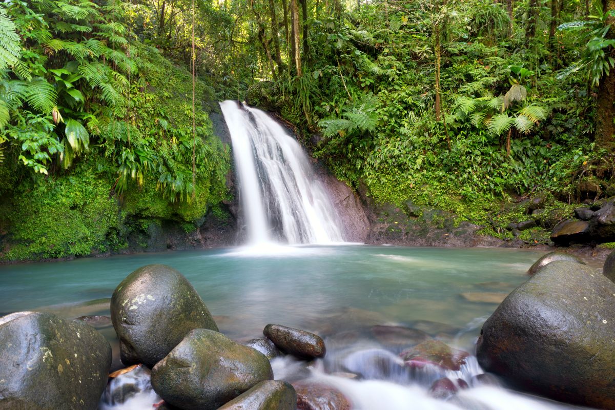 Voyage tout inclus en Guadeloupe : Quel est le meilleur prix ?