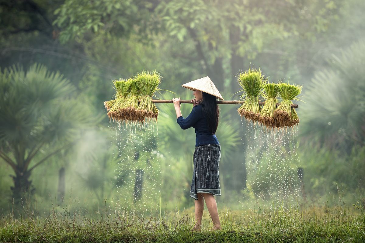 Quand partir au Cambodge pour ses vacances en 2024 ?