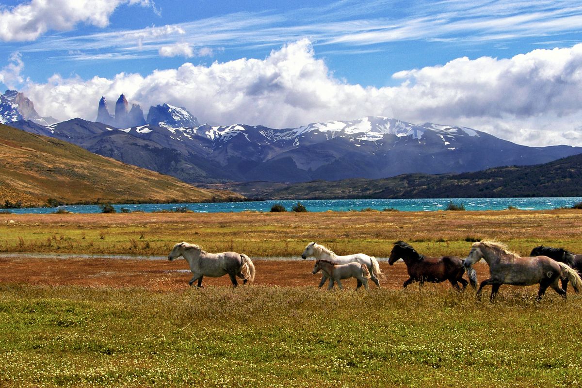 Quand partir en Patagonie pour ses vacances de luxe ?