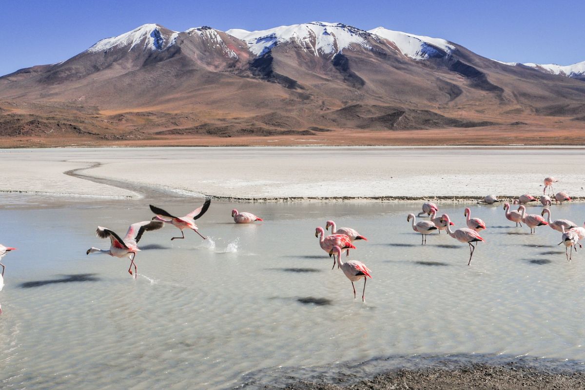 Bolivie : Quand partir dans ce petit coin de paradis ?