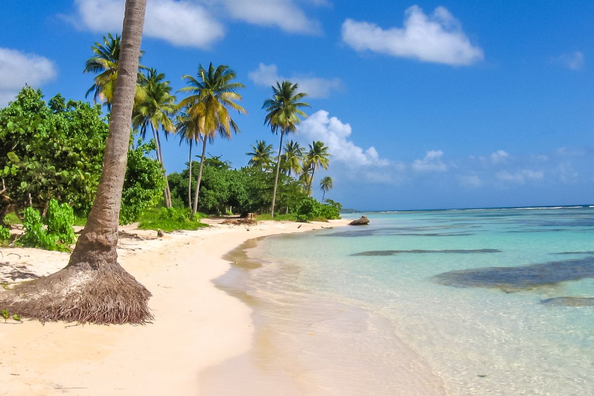 Guadeloupe ou Martinique pour un séjour en famille : Que choisir ?