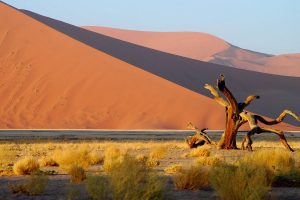 Quand partir en Namibie pour ses vacances 2024 ?