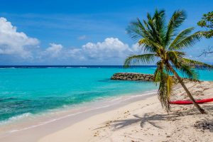 Voyage tout inclus en Guadeloupe : Quel est le meilleur prix ?