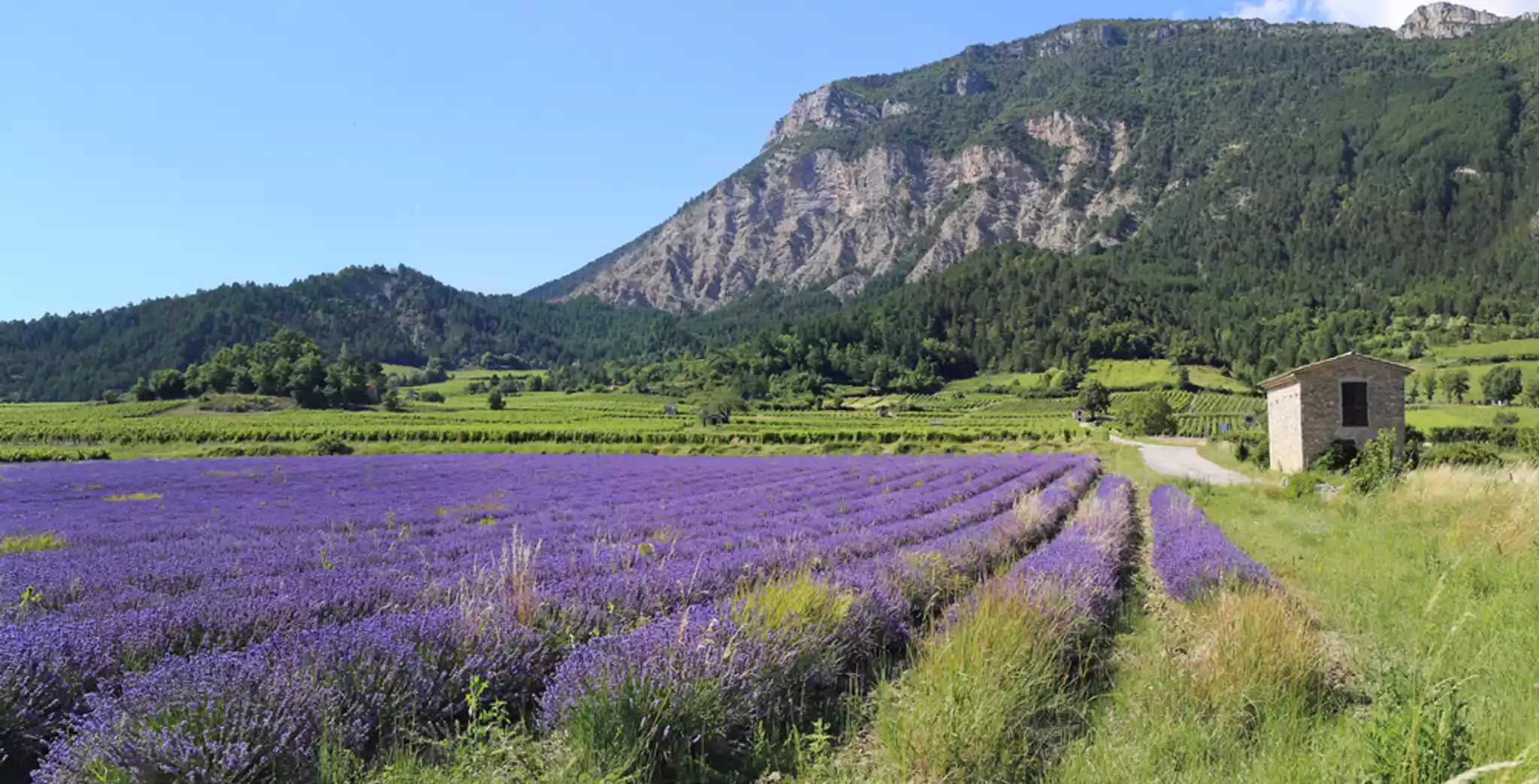 Drôme provençale