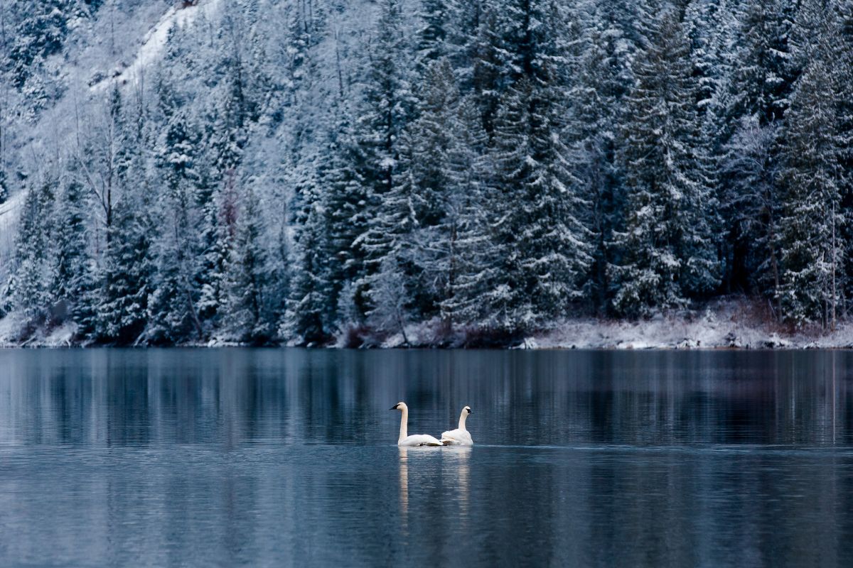 Les plus beaux lacs d’Amérique du Nord en 2025